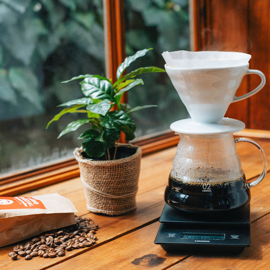 Hario V60 Coffee Dripper Filter aus Porzellan Gr. 02