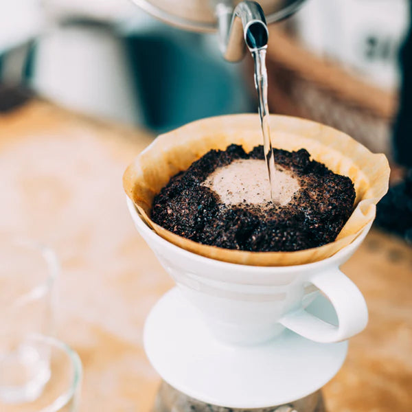 Hario V60 Coffee Dripper Filter aus Porzellan Gr. 02