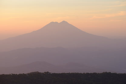 El Salvador - Diego Baraona - Pacamara Black Honey