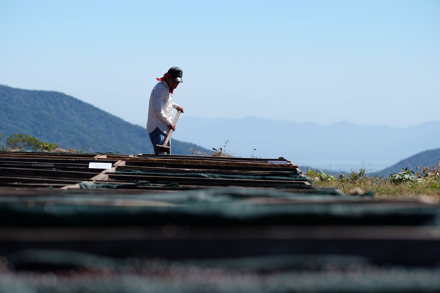 El Salvador - Diego Baraona - Pacamara Black Honey