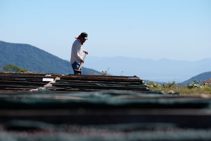 El Salvador - Diego Baraona - Pacamara Black Honey