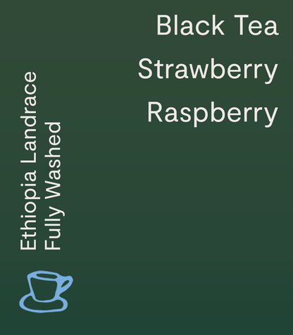 Chelchele, Ethiopia - Espresso