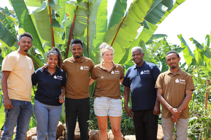 Ethiopia - Syoum Family - Heirloom Natural - BULK 1 Kilo