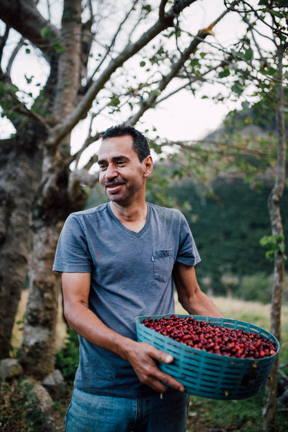 Filter Coffee - Jorge Vásquez - Catuai Natural