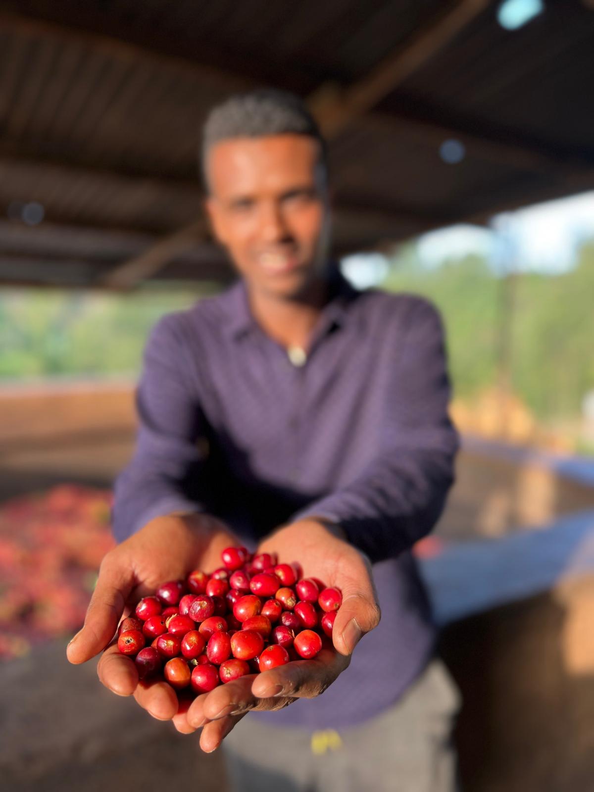 EA Decaf - Syoum Family - Guji Natural - BULK 1 Kilo