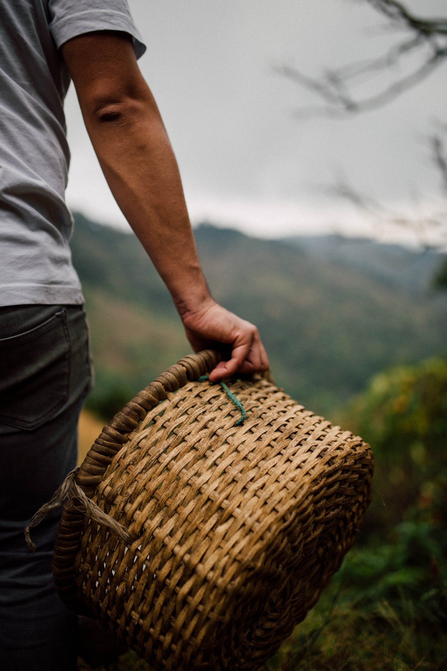 Filter Coffee - Jorge Vásquez - Catuai Natural