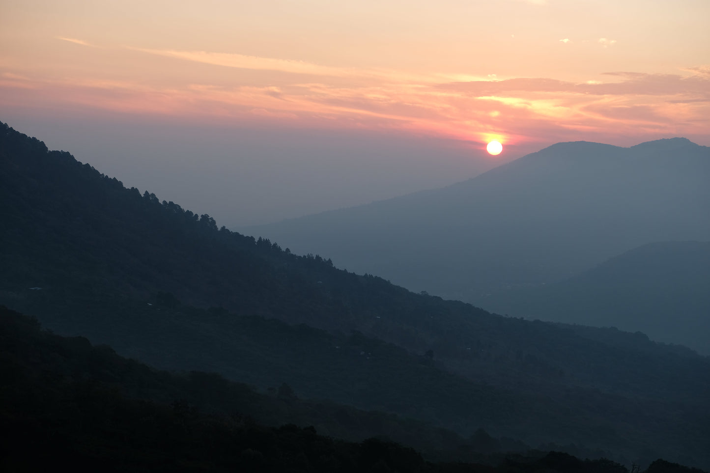 El Salvador - Diego Baraona - Pacamara Black Honey