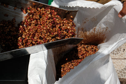 El Salvador - Diego Baraona - Pacamara Black Honey