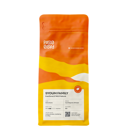 Filter Coffee - Syoum Family - Heirloom Natural