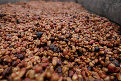 Corazón Oscuro - Espresso Blend - 1 Kilo - BULK