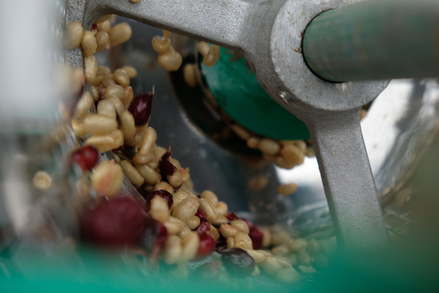 El Salvador - Diego Baraona - Pacamara Black Honey