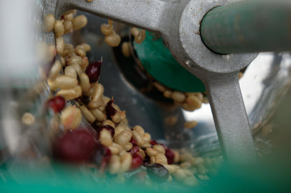 El Salvador - Diego Baraona - Pacamara Black Honey