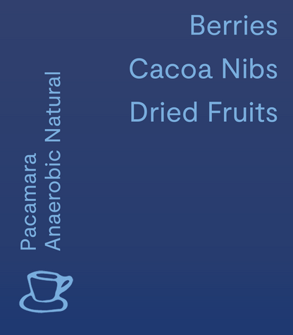 La Dalia, El Salvador - Filter Roast