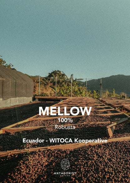 Espresso Mellow – kraftvoll, cremig und süß-würzig