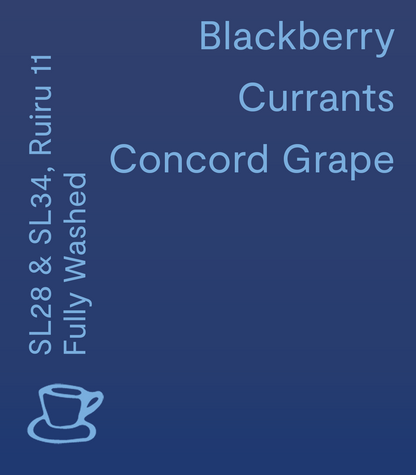 Nthimbiri AA, Kenya - Filter