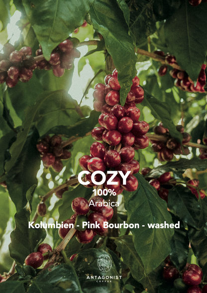 Filterkaffee Cozy - Mild aus Kolumbien mit fruchtigem Geschmack