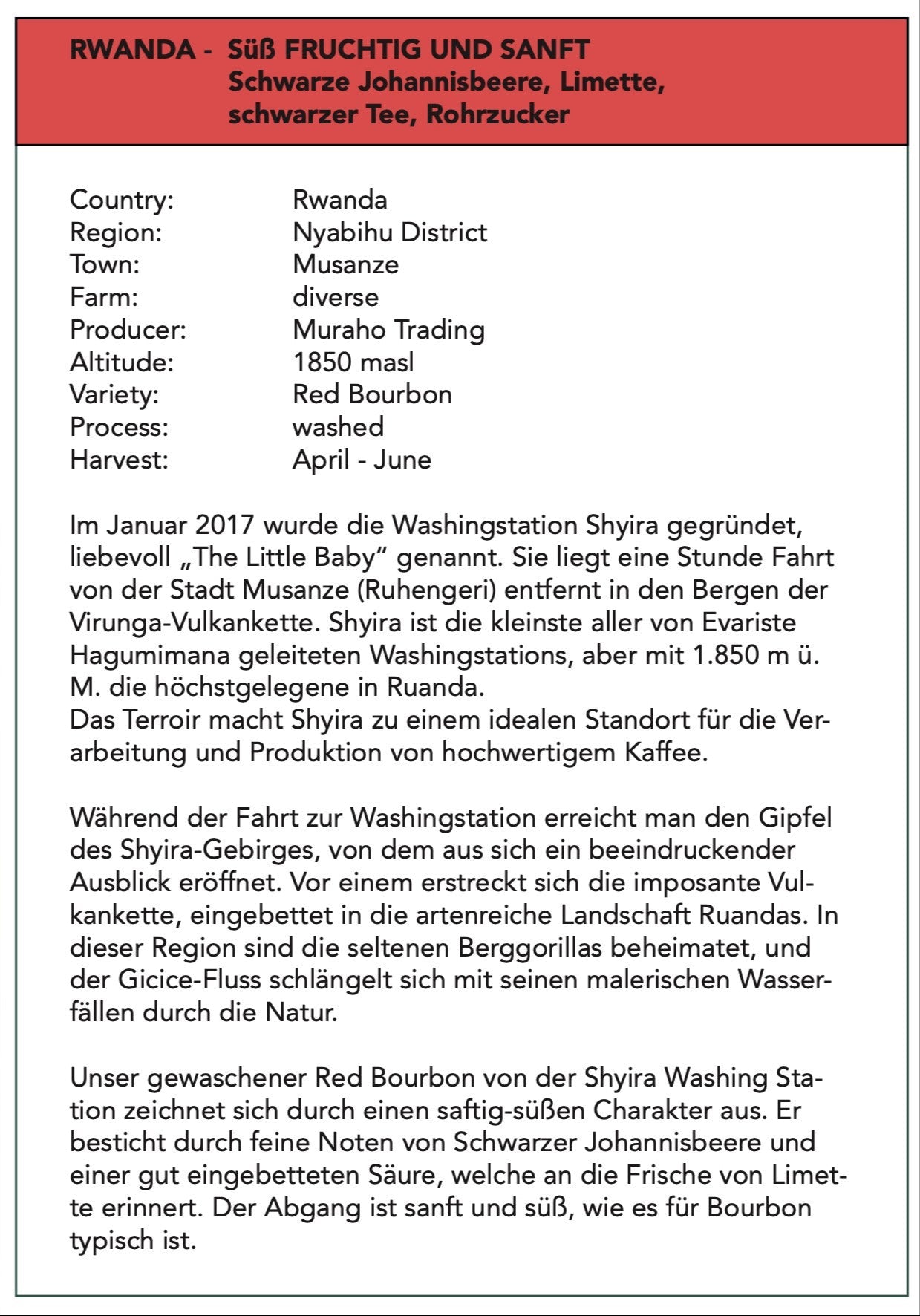 Filterkaffee Rwanda - ausbalanciert und Fruchtig