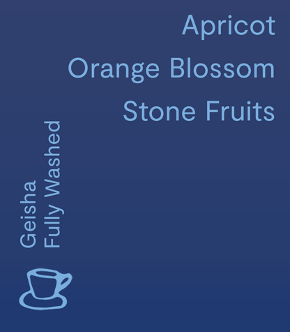 Finca Santa Elisa - Limited Edition