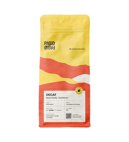 EA Decaf - Syoum Family - Guji Natural - BULK 1 Kilo