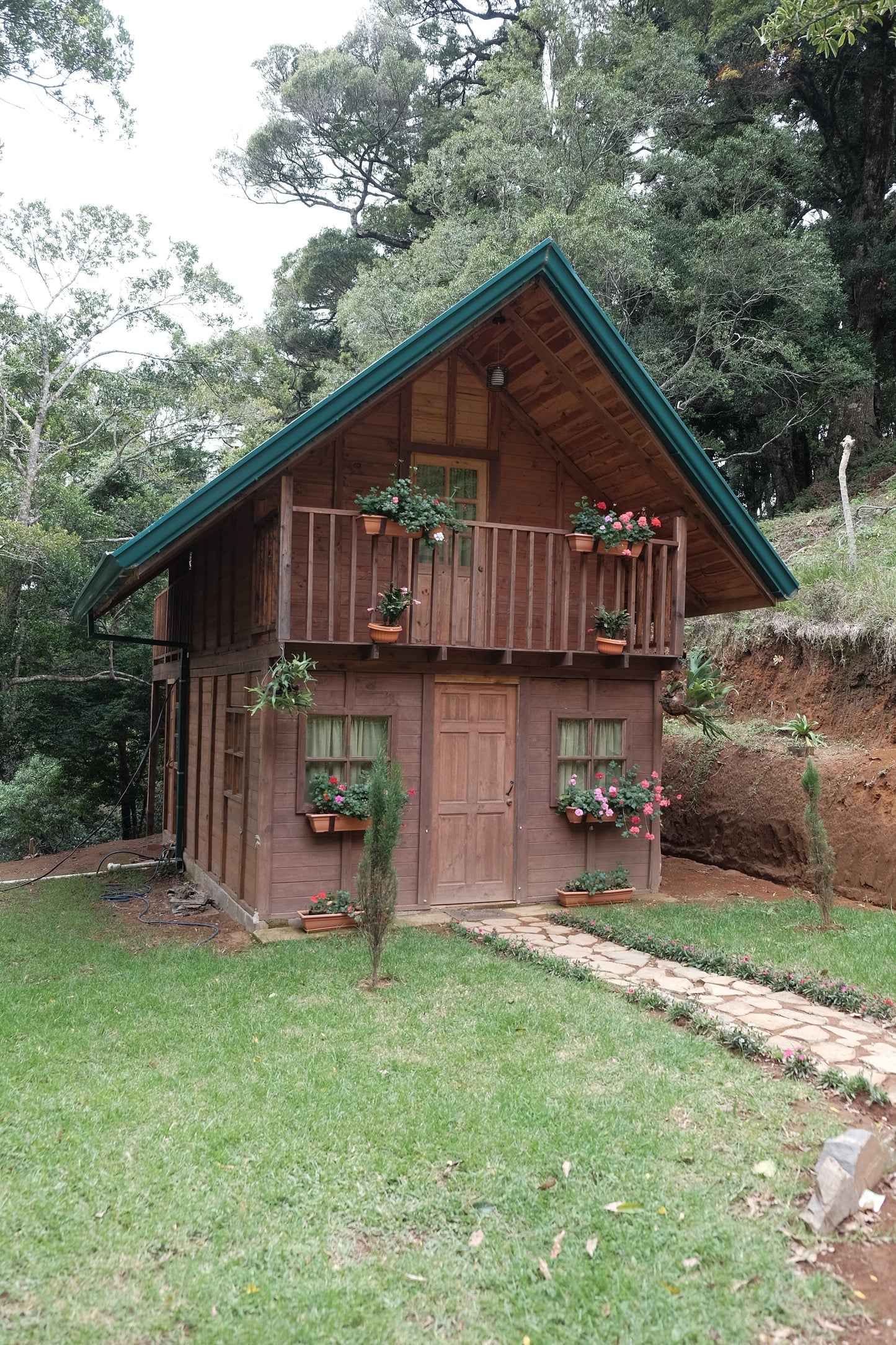 Filter Coffee - Jorge Vásquez - Catuai Natural