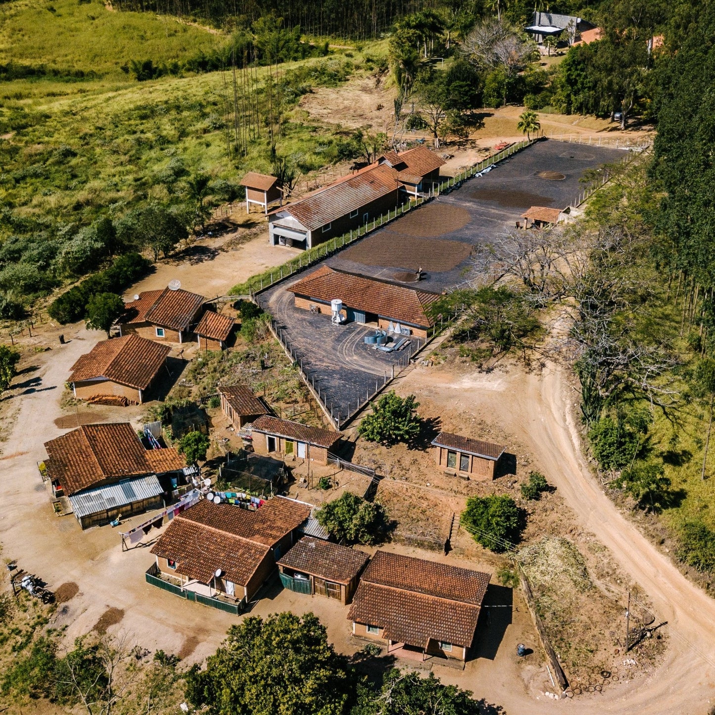 Optimist Coffee Pinheiro Filterkaffee – Arabica Specialty Coffee aus Brasilien (Fazenda Pinheiro, Obatã)