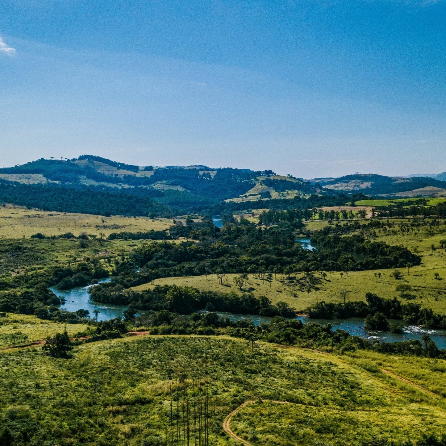 Optimist Coffee Pinheiro Filterkaffee – Arabica Specialty Coffee aus Brasilien (Fazenda Pinheiro, Obatã)