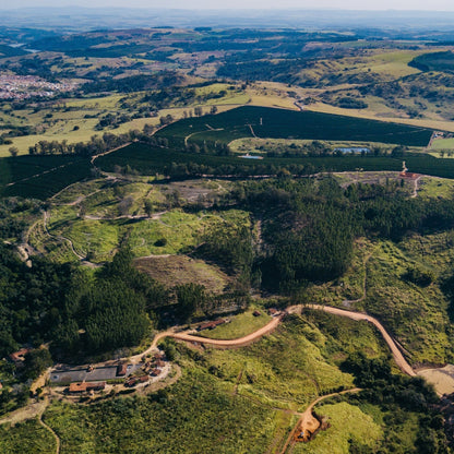 Optimist Coffee Pinheiro Filterkaffee – Arabica Specialty Coffee aus Brasilien (Fazenda Pinheiro, Obatã)