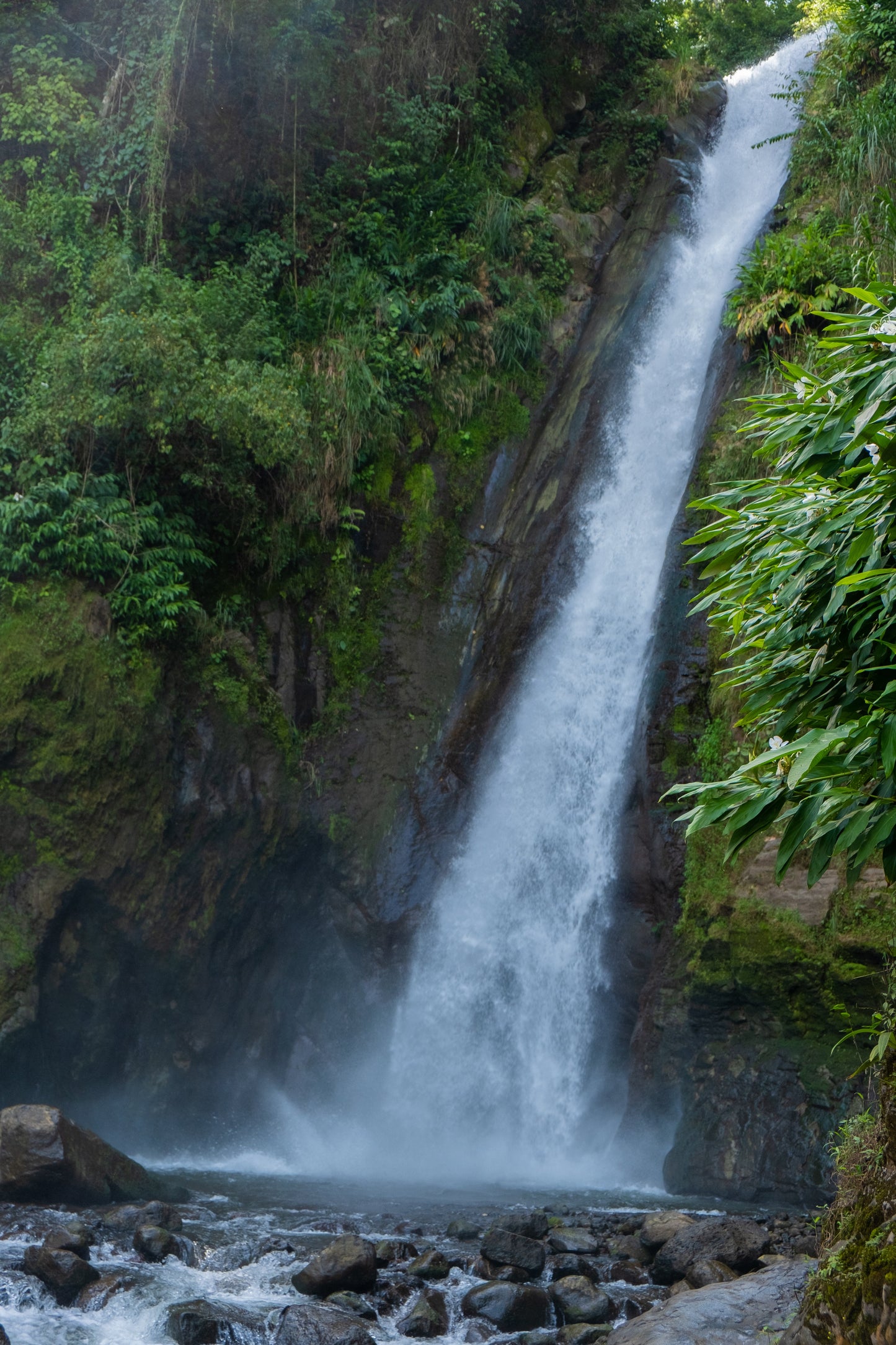 Costa Rica - Diego Robelo - Centroamericano Anaerobic Natural